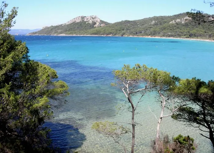 Appartamento Superbe T2 Proche Des Plages Et Des Commerces Hyères